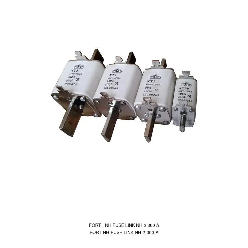 Fort NH FUSE LINK NH-2 300 A